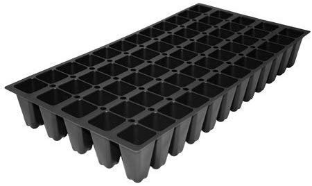 Buddleia Nanho Blue | Live Plants | Blooming Butterfly Bush