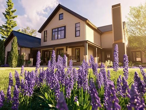 Big Blue Lilyturf | Live Plants | Liriope muscari ëBig Blueí | Flowering Ground Cover for Landscaping | Low|Maintenance Ornamental Grass