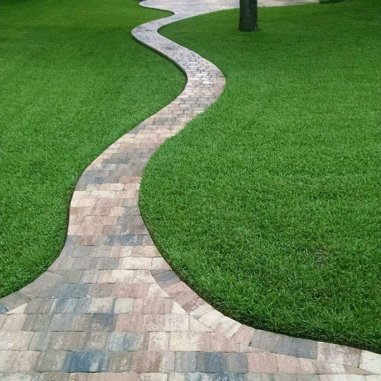 St. Augustine 'Seville' Sod | Live Plugs | Drought, Salt & Shade Tolerant Turf Grass