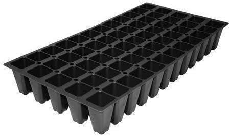 Nicks Compacta | Live 4 Inch Pots | Indoor and Outdoor Plant, Low Maintenance, Ideal for Container Gardening and Small Spaces