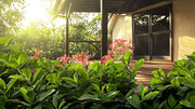 Nora Grant Ixora Plant | Live Plants | Vibrant Pink Blooms | Tropical Flowering Shrub | Ideal for Landscapes & Gardens | Lush Decorative Foliage | Ixora coccinea