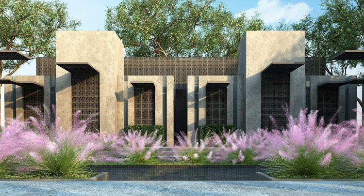 Muhly Grass | Live 4 Inch Pots | Muhlenbergia Capillaris | Ideal for Natural Landscaping | Easy|Care & Drought Tolerant Plants | Beautiful Pink Plumes