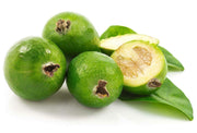 Pineapple Guava Plant | Live 4 Inch Plants | Feijoa Sellowiana | Edible Flowers and Fruit
