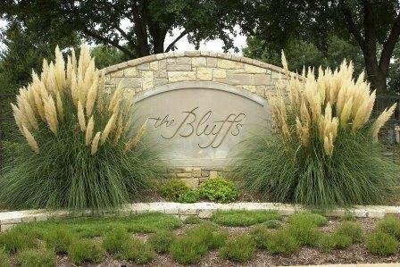 Pampas Grass | 40 Live Plants | Cortaderia Selloana | Beautiful Blooming Screening Ornamental Foliage